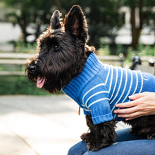 Load image into Gallery viewer, Blue Stripe Quarter-Zip Dog Sweater