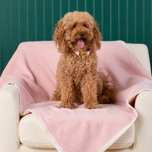 Load image into Gallery viewer, ChappyWrap Harborview Herringbone Blush Dog Blanket