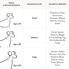 Load image into Gallery viewer, Berry Stitch Flannel Dog Bandana