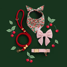 Load image into Gallery viewer, Blush Pink Velvet Lady Dog Bow