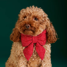 Load image into Gallery viewer, Berry Stitch Flannel Lady Bow Collar