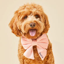 Load image into Gallery viewer, Blush Pink Velvet Lady Dog Bow