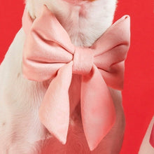 Load image into Gallery viewer, Blush Pink Velvet Lady Dog Bow