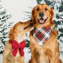 Load image into Gallery viewer, Berry Stitch Flannel Lady Bow Collar