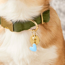 Load image into Gallery viewer, Blue Heart Collar Charm
