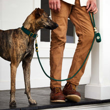 Load image into Gallery viewer, Evergreen Collar Walk Set